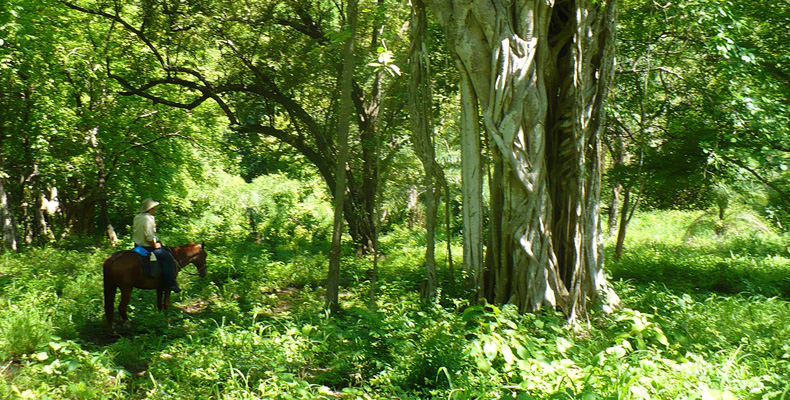 K08 Costa Rica 5.jpg